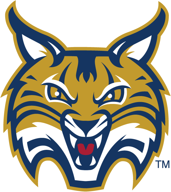 Quinnipiac Bobcats 2002-Pres Secondary Logo diy DTF decal sticker...